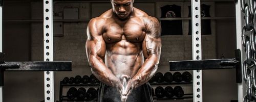 How Do Steroids Improve Collagen Synthesis?